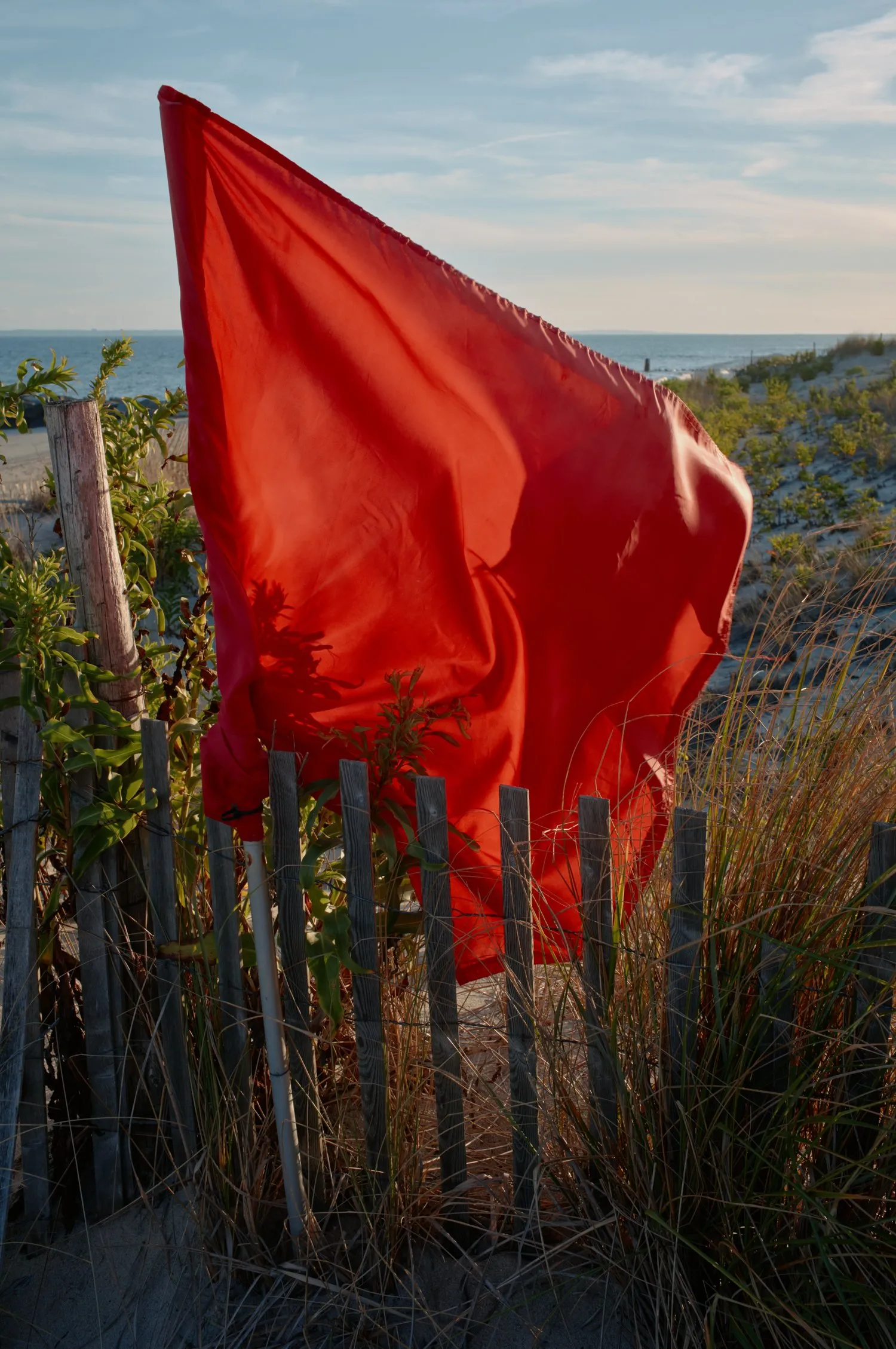 Untitled photograph from the series Swell, 2018–2025