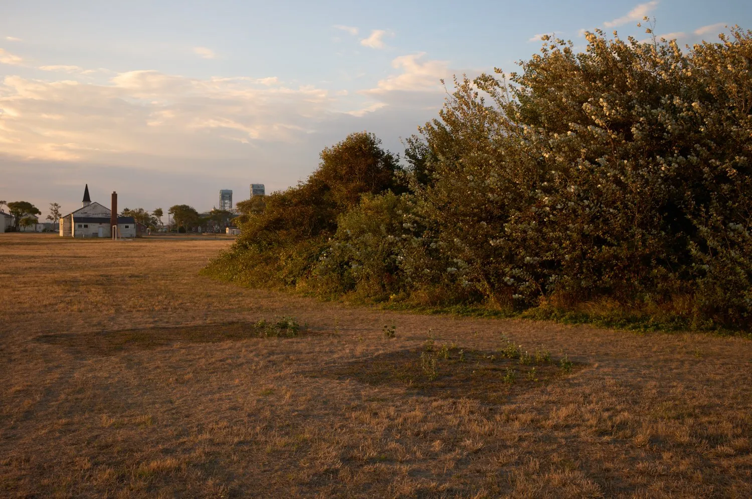 Untitled photograph from the series Swell, 2018–2025