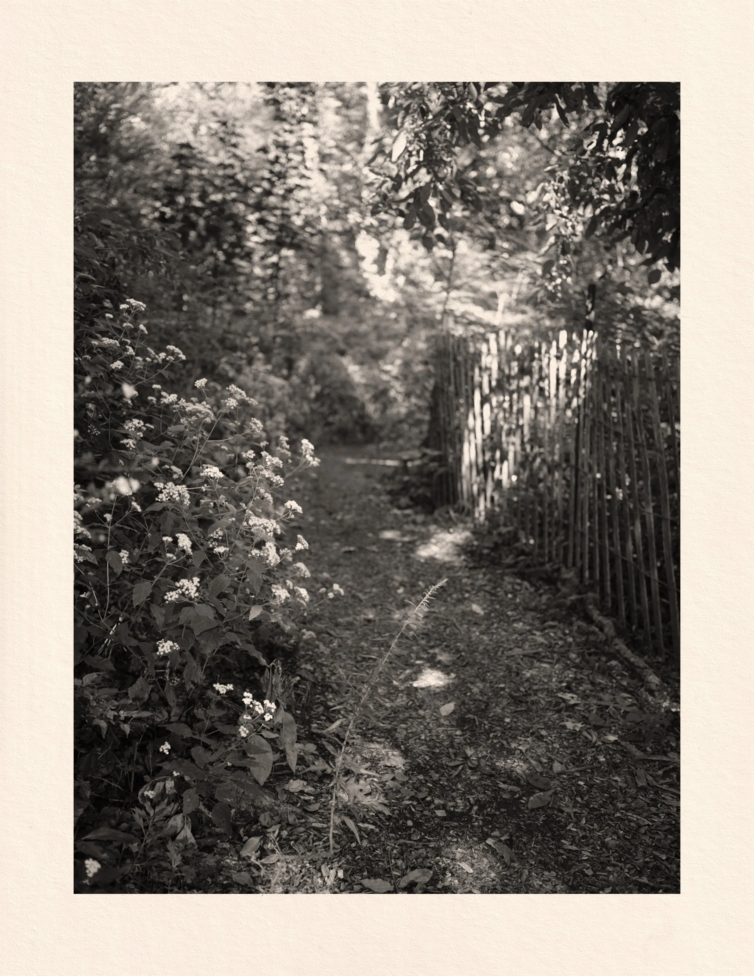 Untitled photograph from the series Hollowell