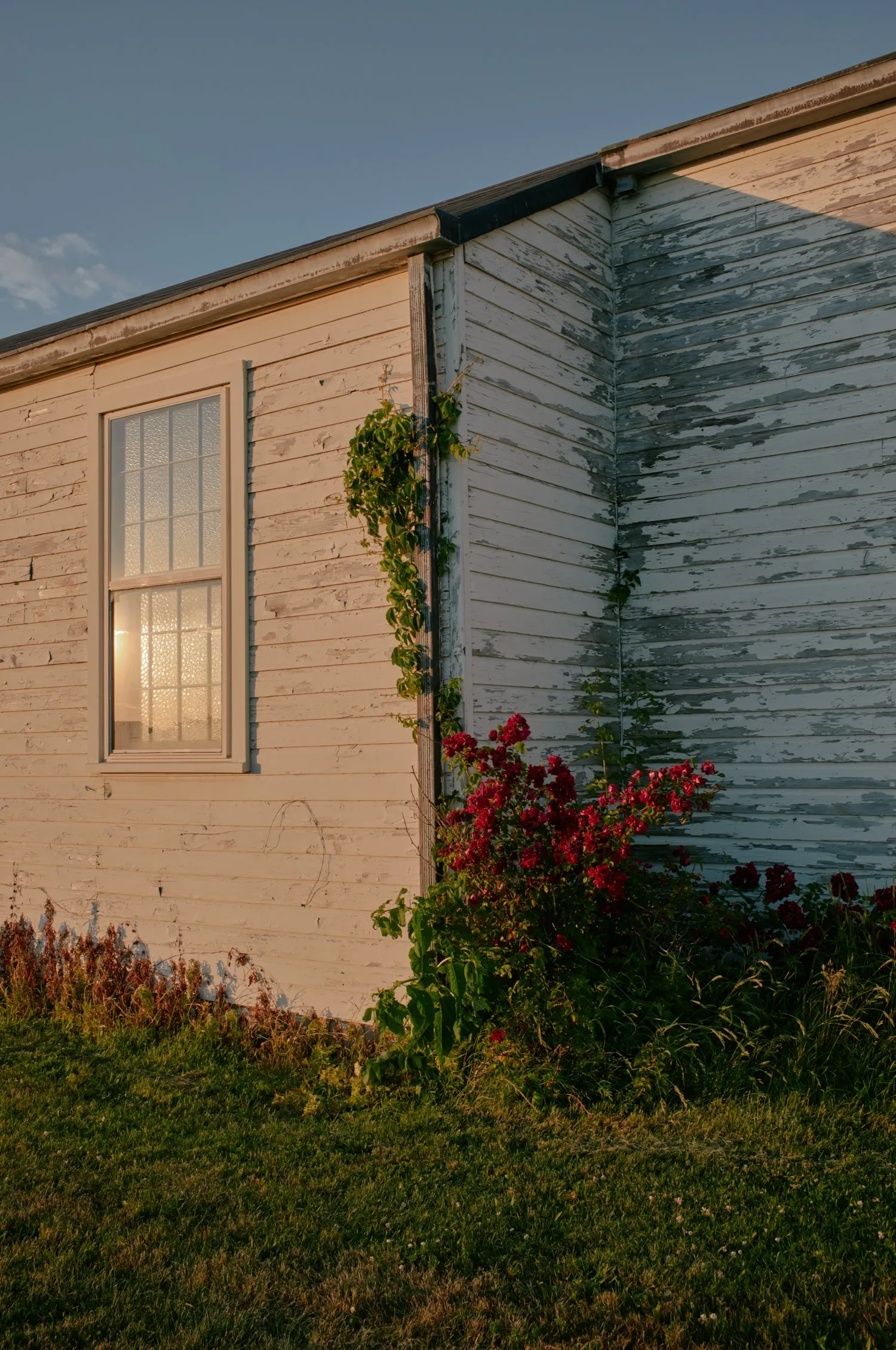 Untitled photograph from the series Swell, 2018–2025