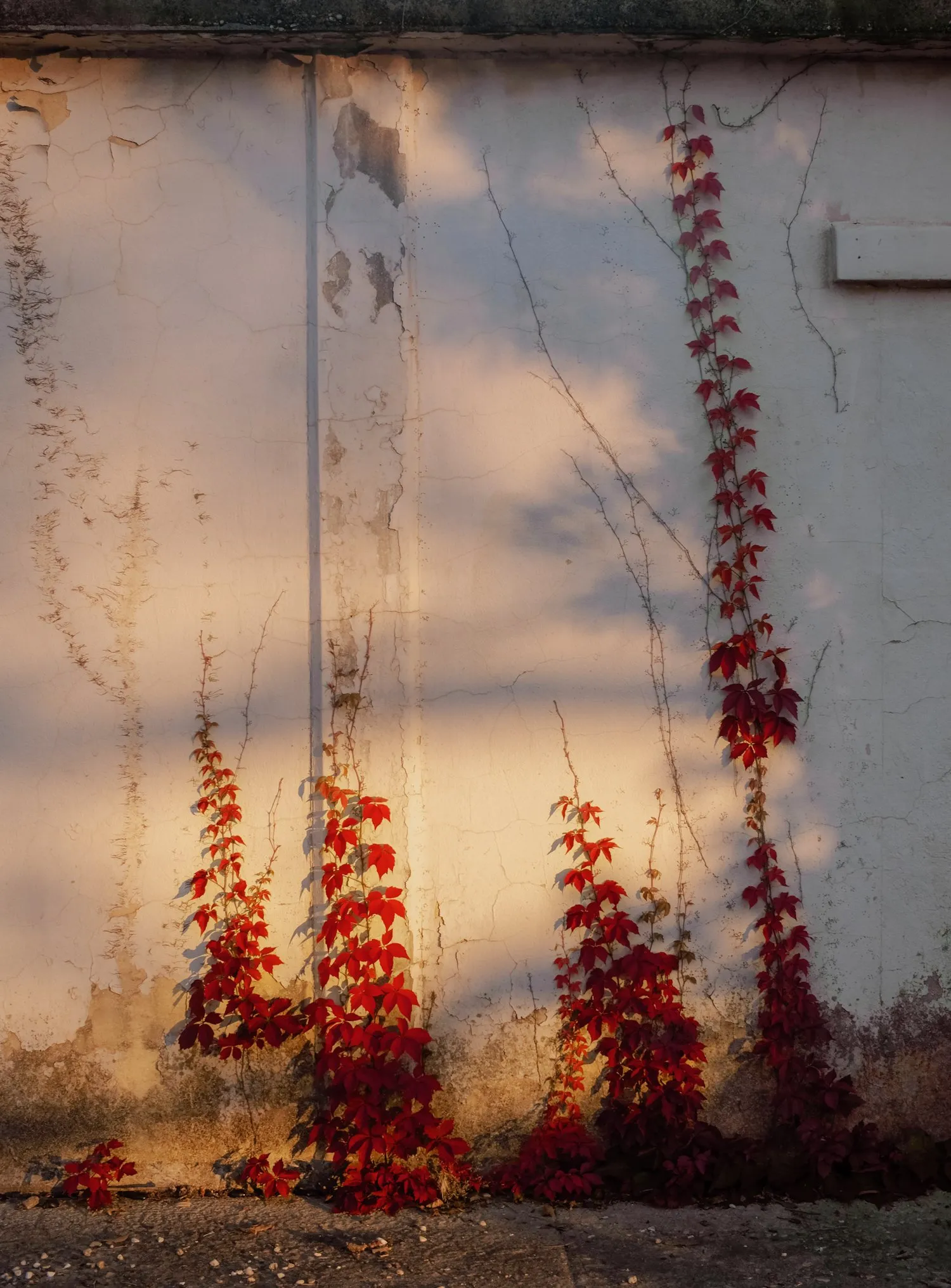Untitled photograph from the series Swell, 2018–2025