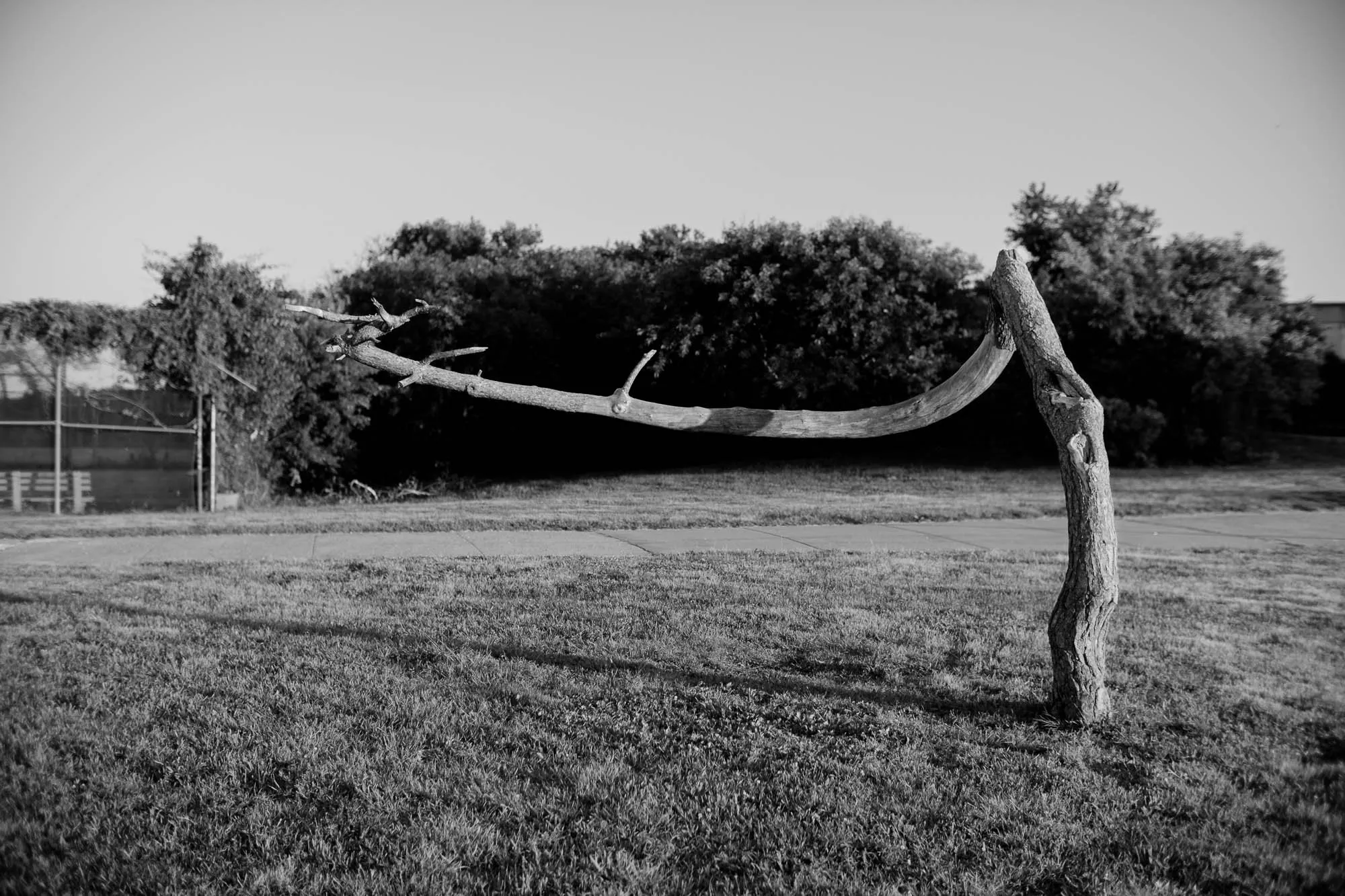 Untitled photograph from the series The Ruins Stood, 2021–2022