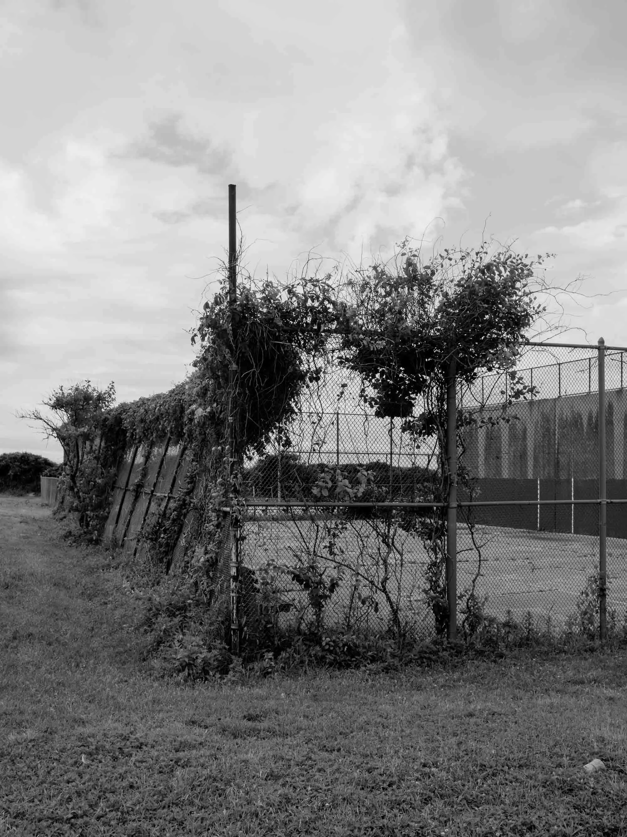 Untitled photograph from the series The Ruins Stood, 2021–2022
