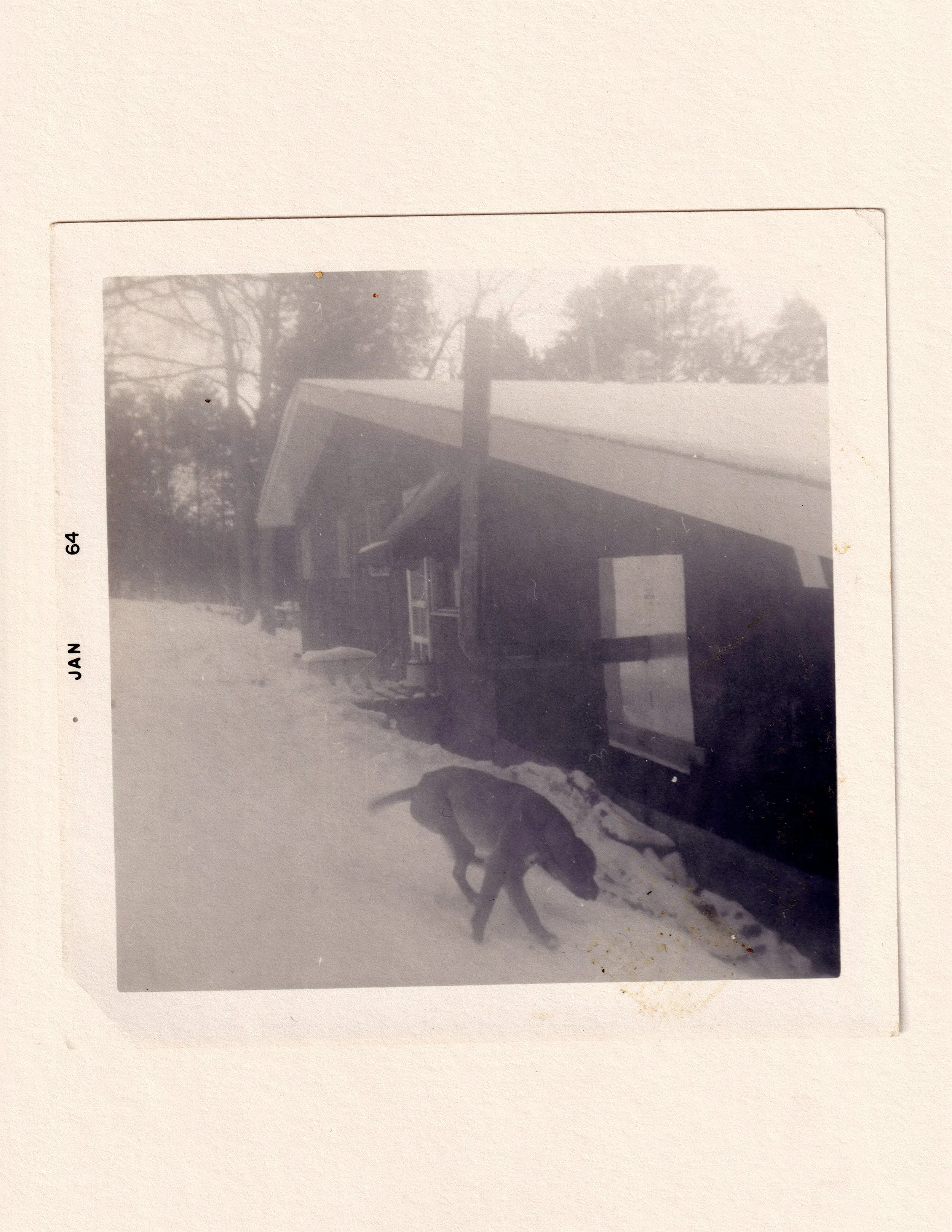 Untitled photograph from the series Hollowell