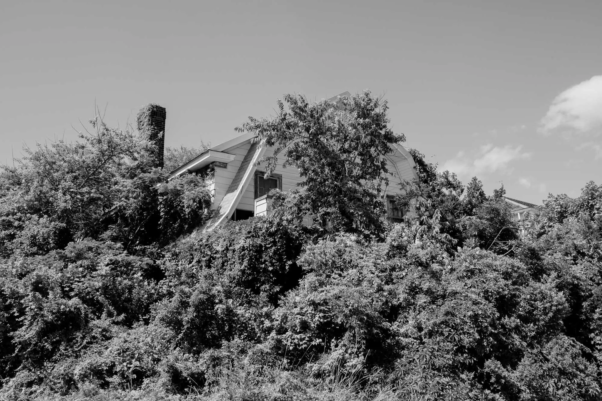 Untitled photograph from the series The Ruins Stood, 2021–2022