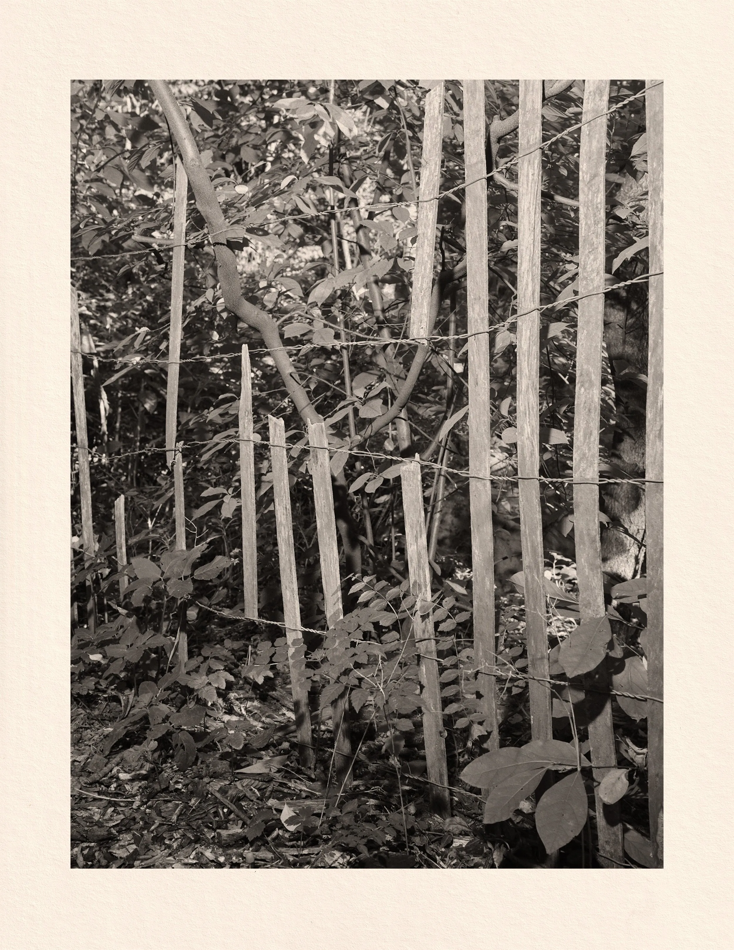 Untitled photograph from the series Hollowell