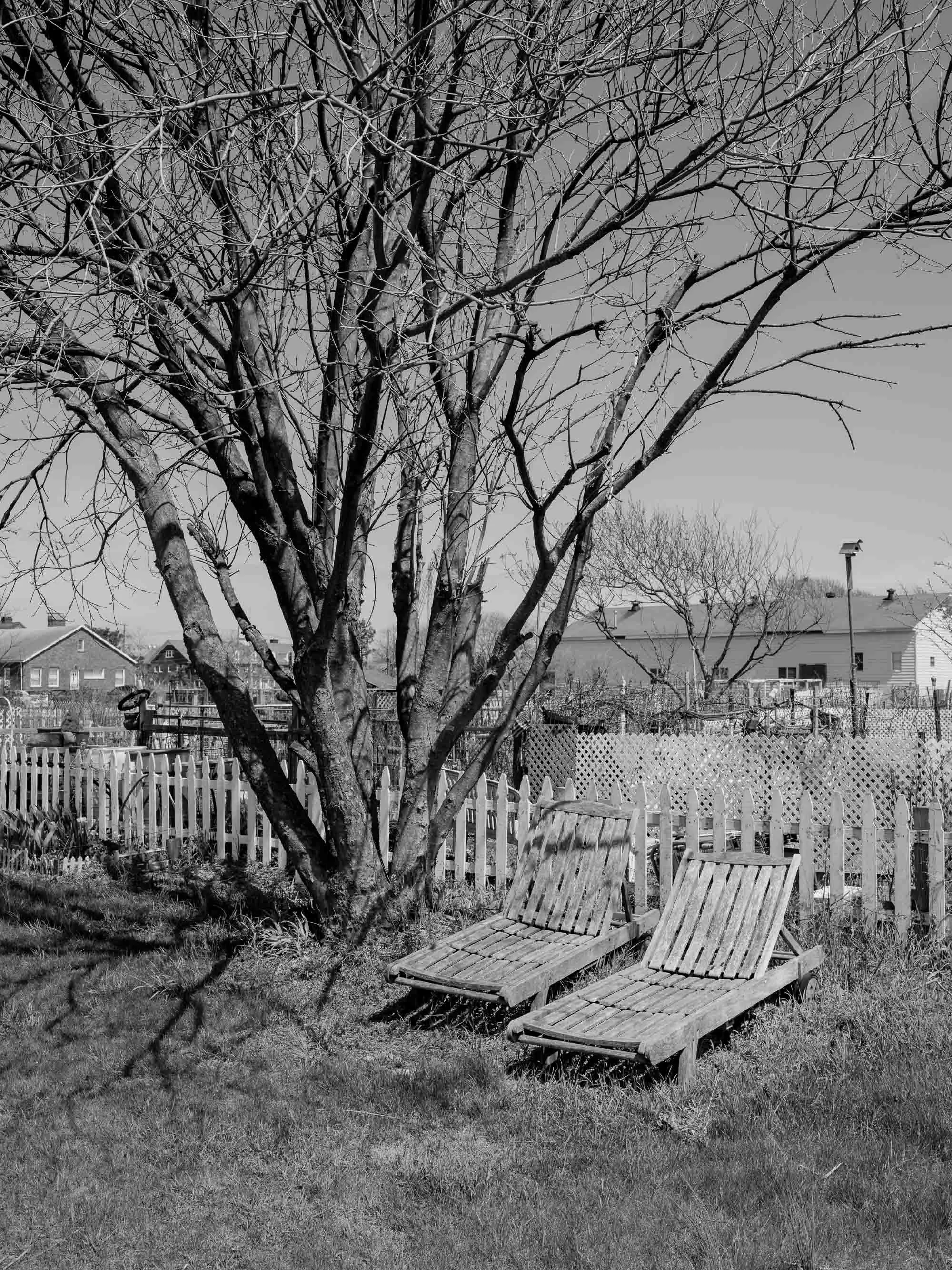 Untitled photograph from the series The Ruins Stood, 2021–2022
