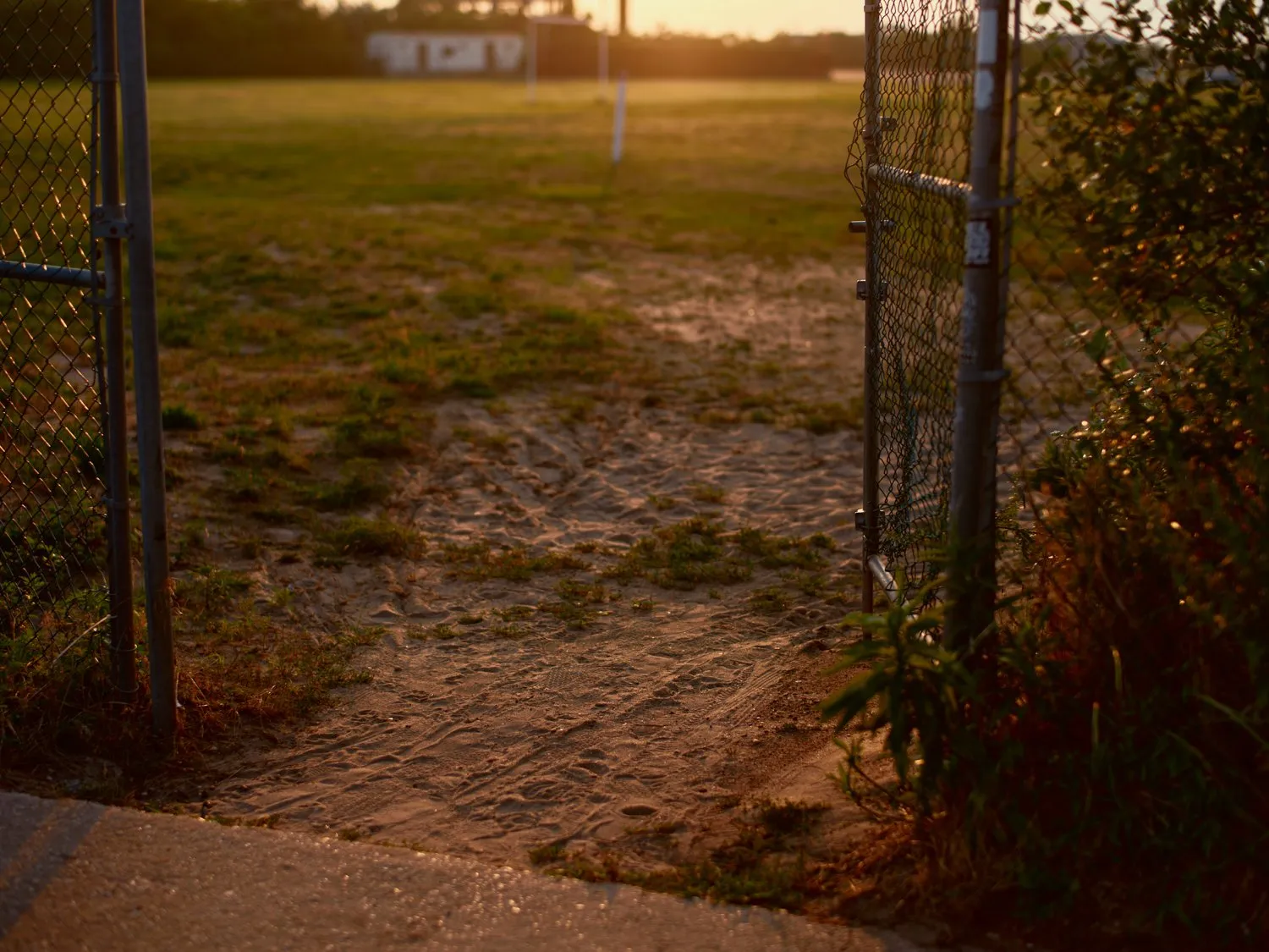 Untitled photograph from the series Swell, 2018–2025