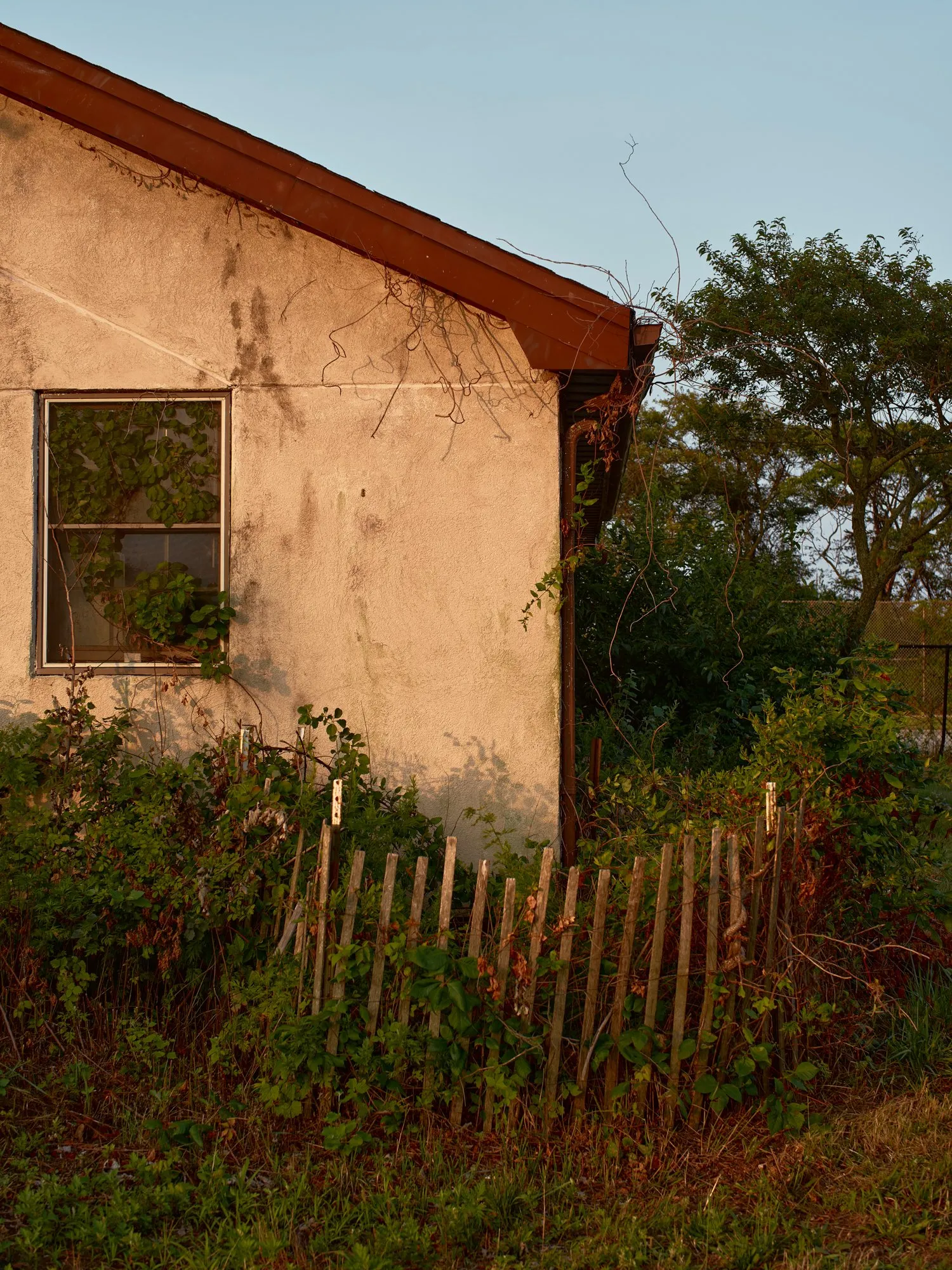 Untitled photograph from the series Swell, 2018–2025