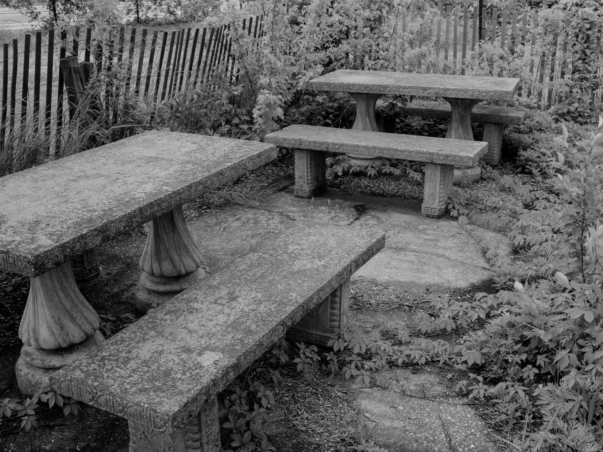 Untitled photograph from the series The Ruins Stood, 2021–2022