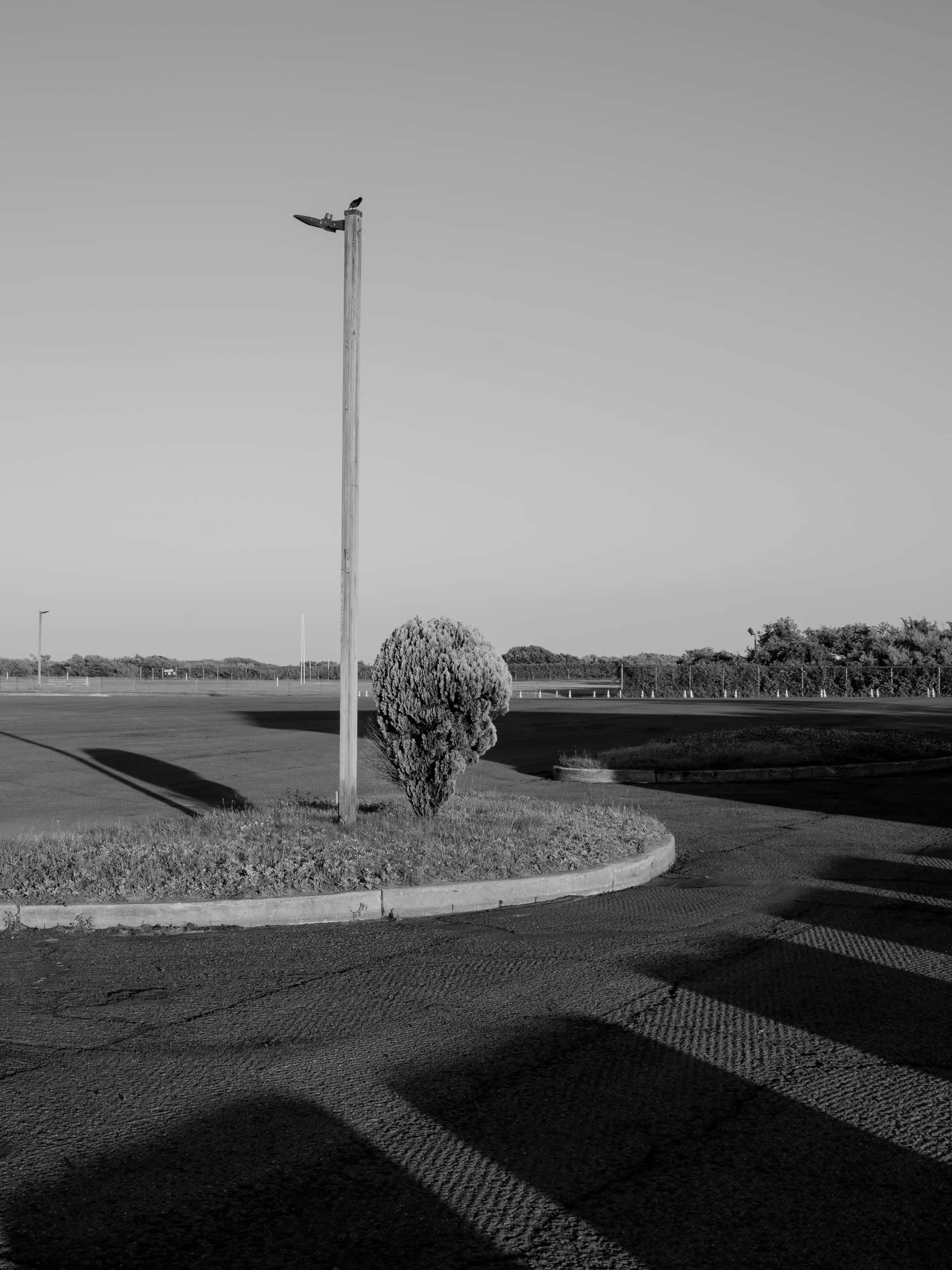 Untitled photograph from the series The Ruins Stood, 2021–2022