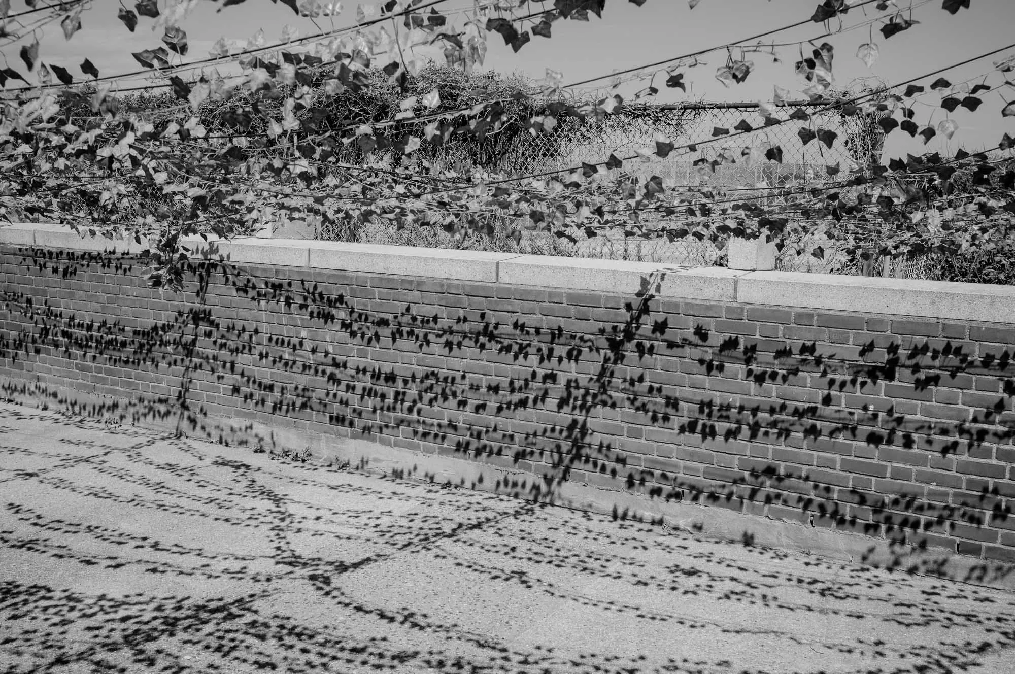 Untitled photograph from the series The Ruins Stood, 2021–2022