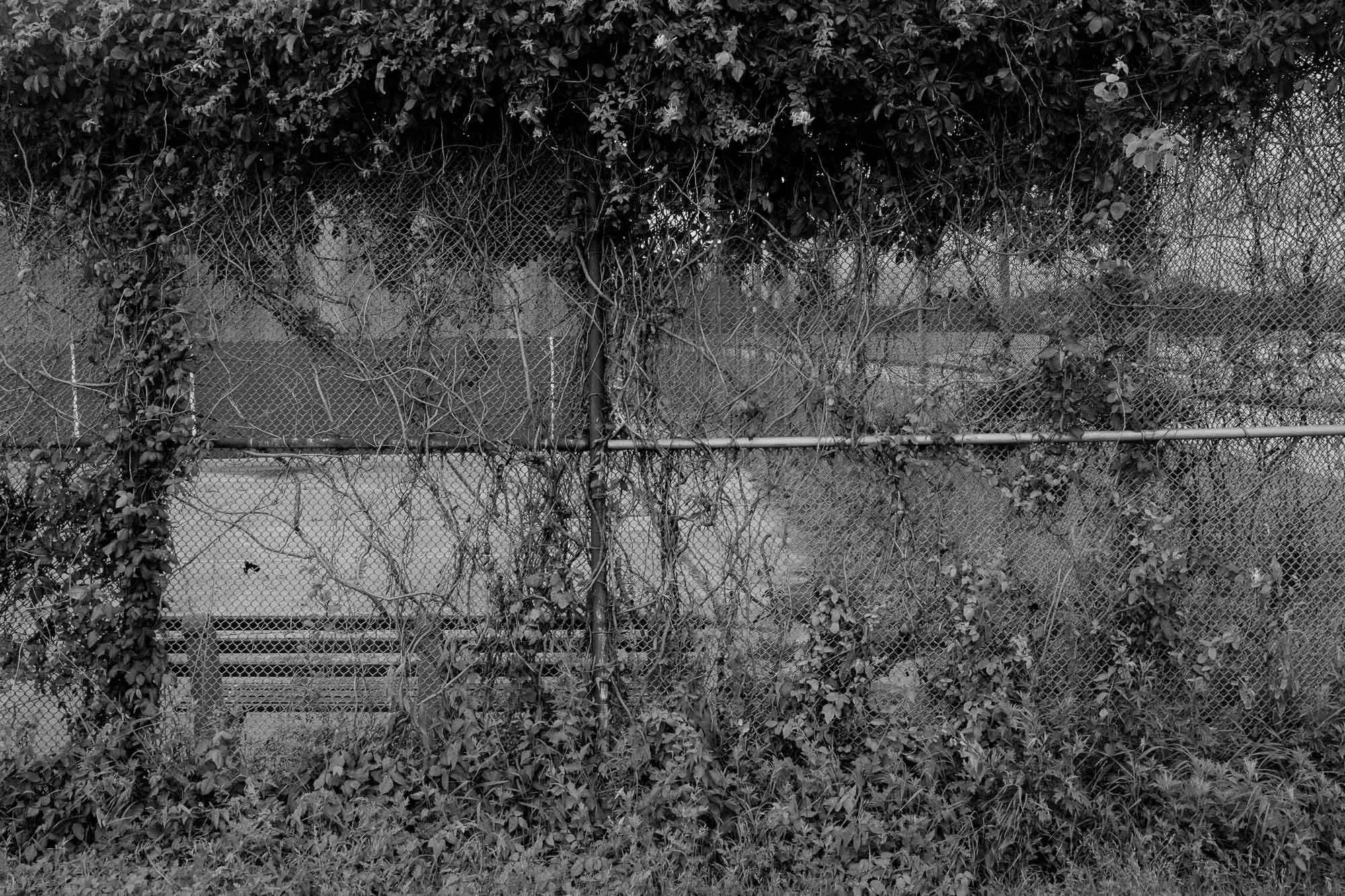 Untitled photograph from the series The Ruins Stood, 2021–2022