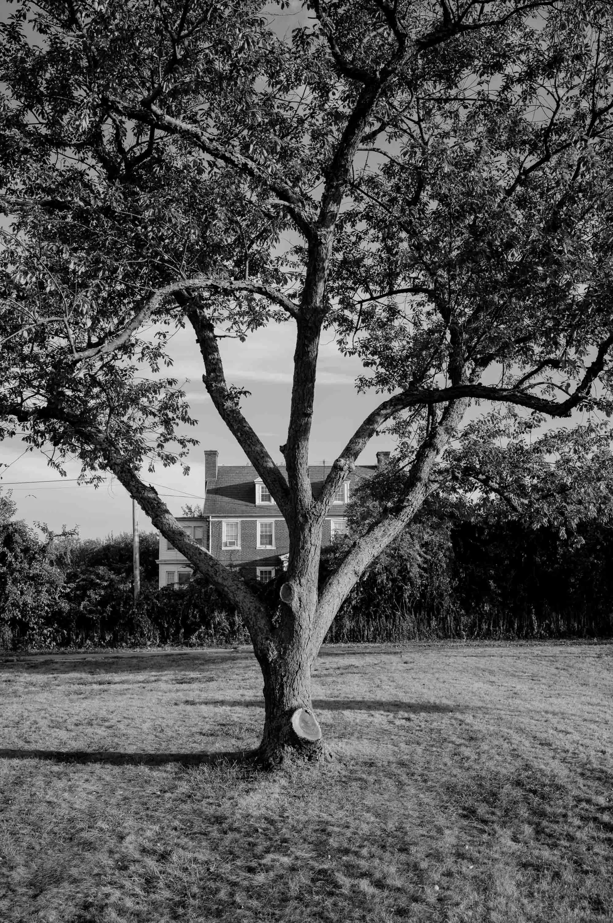 Untitled photograph from the series The Ruins Stood, 2021–2022